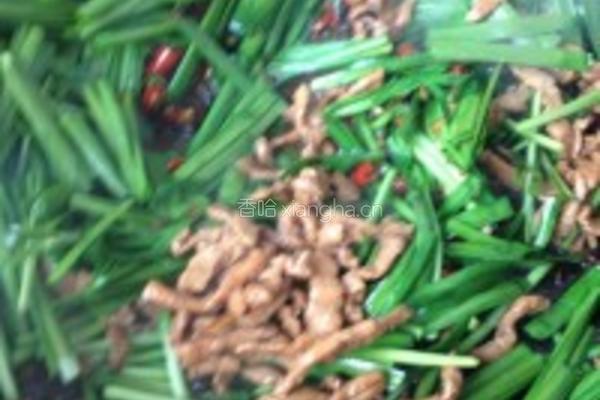 酸辣韭菜肉丝的做法图解9