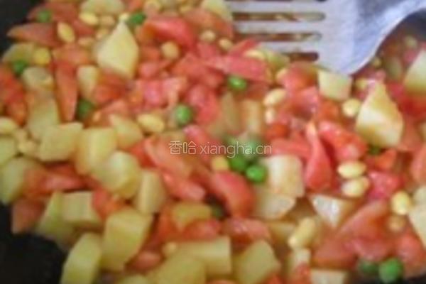 茄汁黄豆牛腩的做法图解8