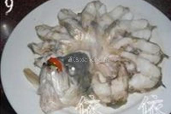 清蒸开屏鲈鱼的做法图解9