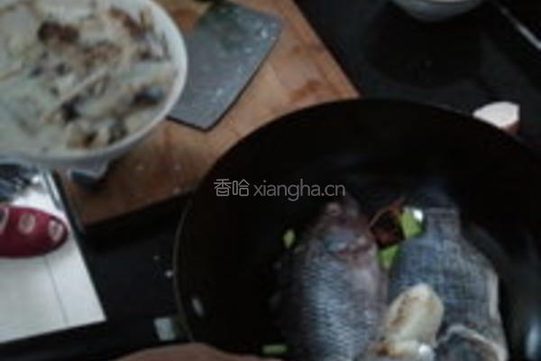 清炖罗非鱼的做法图解4