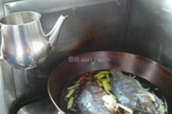 清炖罗非鱼的做法图解5