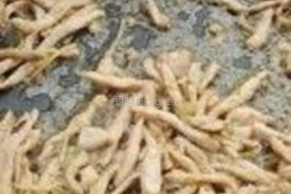 扁豆炒肉丝的做法图解3