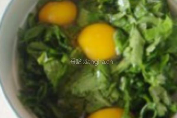 芹菜叶子炒鸡蛋的做法图解2