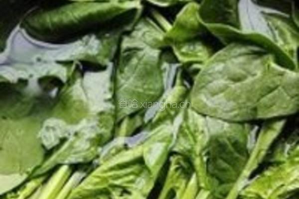 芥末菠菜墩的做法图解2