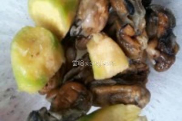瑶柱蚝豉焖冬菇的做法图解2