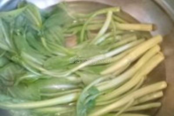 耗油菜心的做法图解2