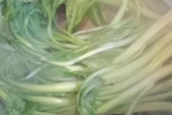 耗油菜心的做法图解4
