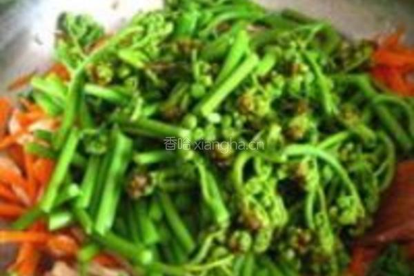 新鲜蕨菜的做法图解4