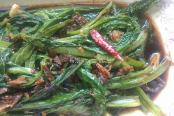 豆鼓鲮鱼油麦菜