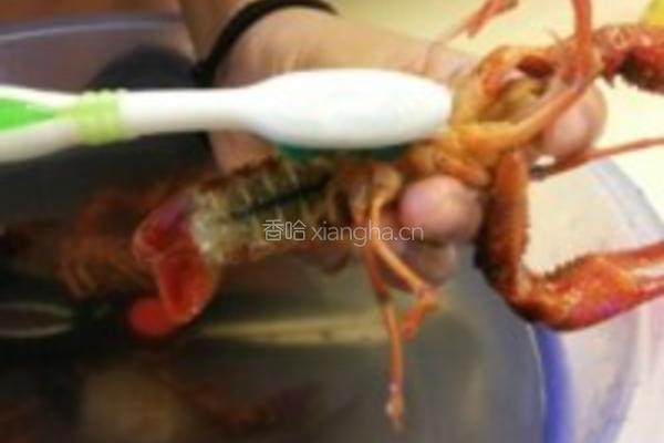 香辣口味虾的做法图解1