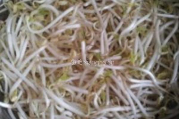 豆芽干豆腐丝炒韭菜的做法图解1