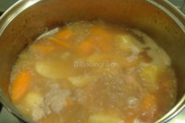 土豆红萝卜炖肉的做法图解5