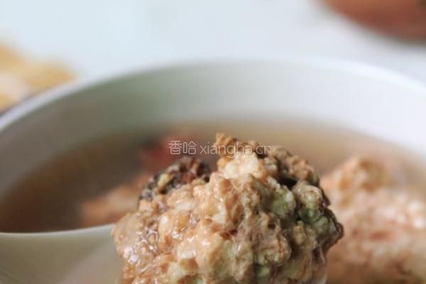 春砂仁炖瘦肉