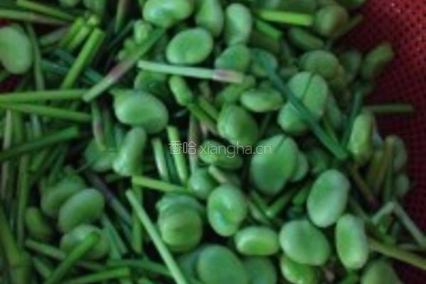 蒜苗蚕豆的做法图解1