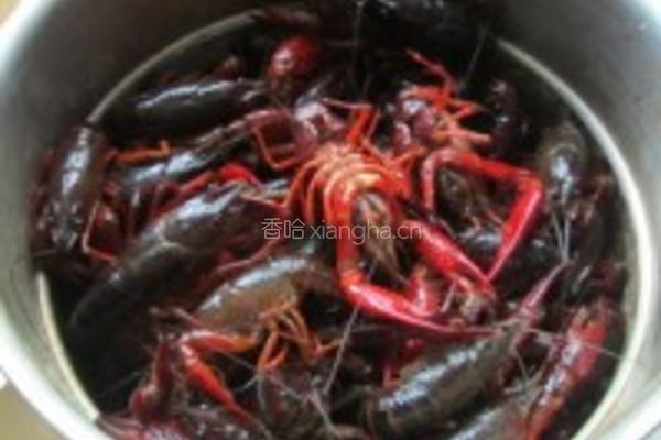 清蒸小龙虾的做法图解3