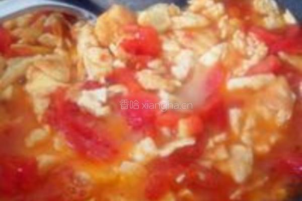 番茄鸡蛋面的做法图解7