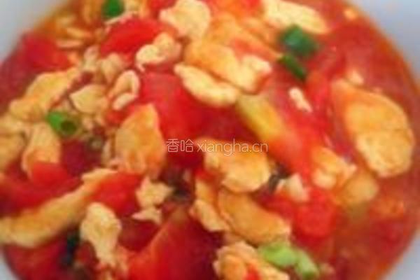 番茄鸡蛋面的做法图解9