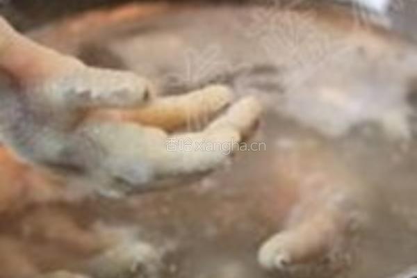龙骨凤爪养生汤的做法图解10