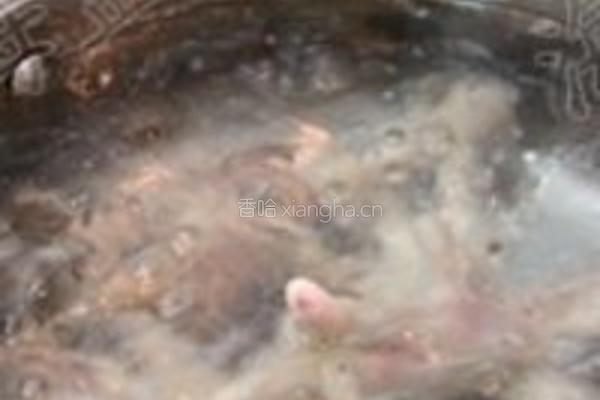 龙骨凤爪养生汤的做法图解5