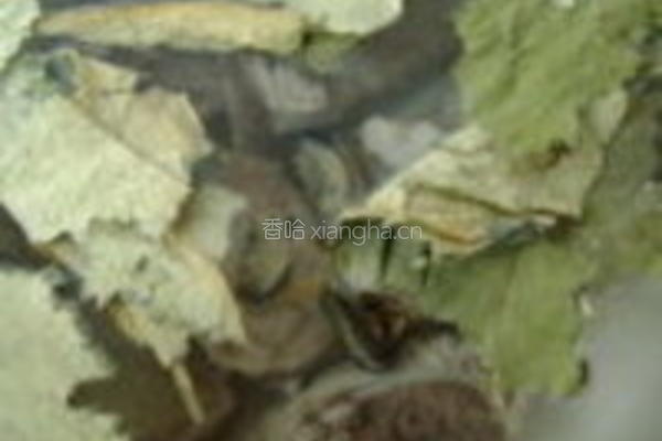 荷叶莲藕扇骨汤的做法图解3