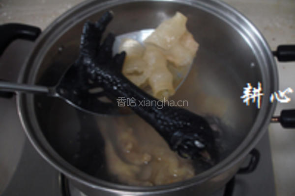 黑虎掌花胶炖鸡脚汤的做法图解3