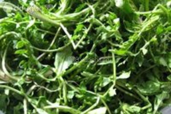 荠菜花汤的做法图解1