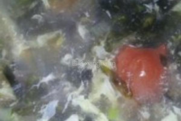 紫菜柿子蛋花汤的做法图解5