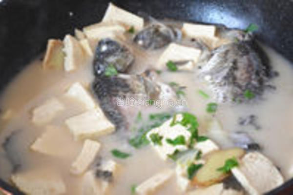 鲫鱼豆腐汤的做法图解7
