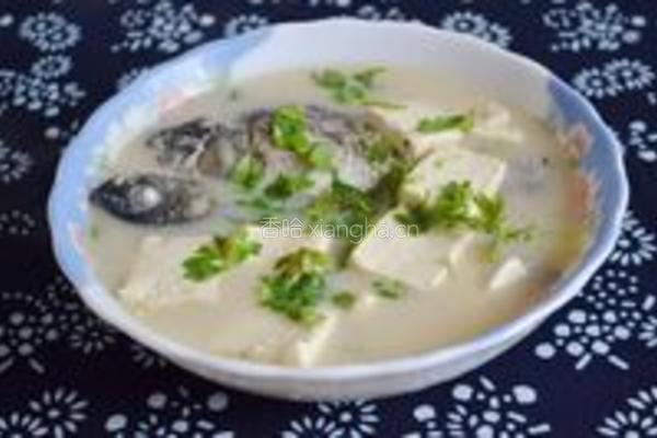 鲫鱼豆腐汤的做法图解8