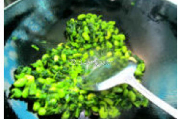雪菜炒蚕豆的做法图解4