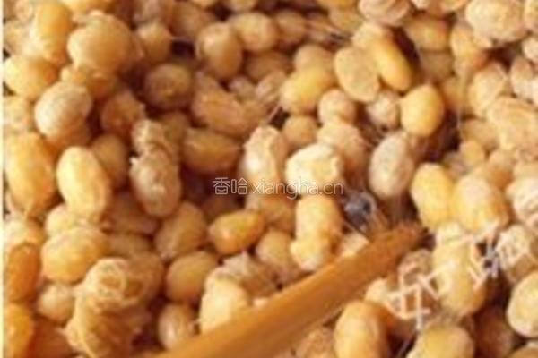 自制纳豆的做法图解9