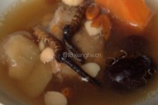 虫草苹果排骨汤的做法图解3