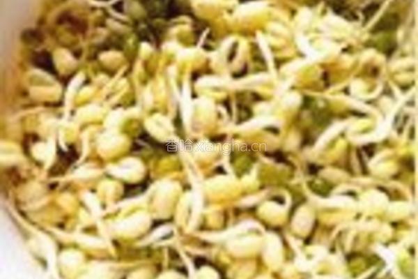 缤纷炒豆芽的做法图解1