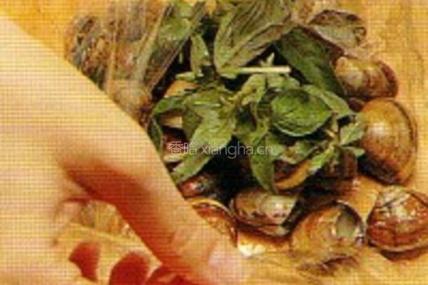 烤箱料理_蒜烤羅勒蛤蜊的做法图解2