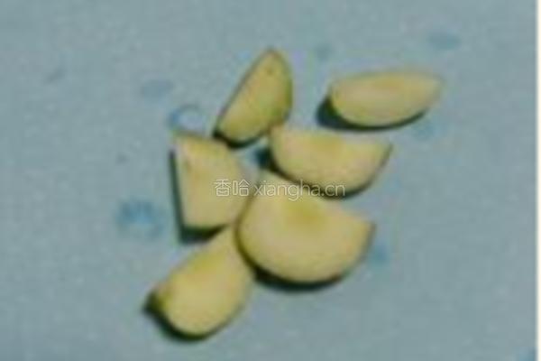 麦芽冬栆的做法图解2