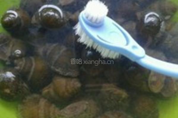 酸笋田螺煲的做法图解1