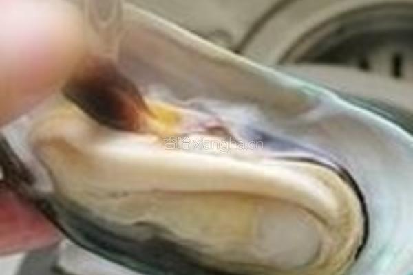 零厨艺焗烤青口贝的做法图解1