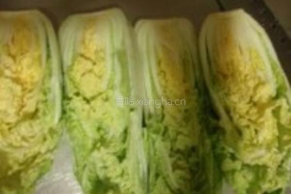 韩式辣白菜的做法图解1