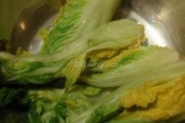 韩式辣白菜的做法图解4