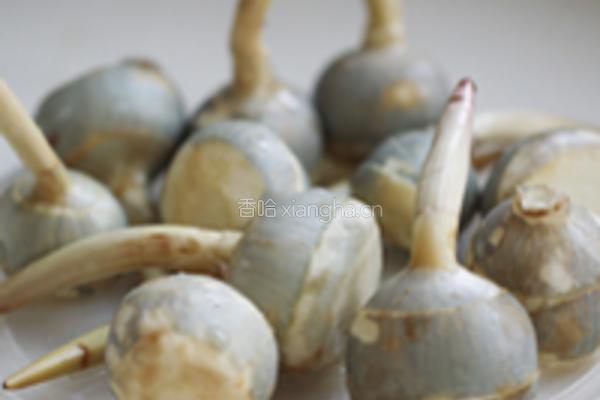 茨菰烧素鸡的做法图解1