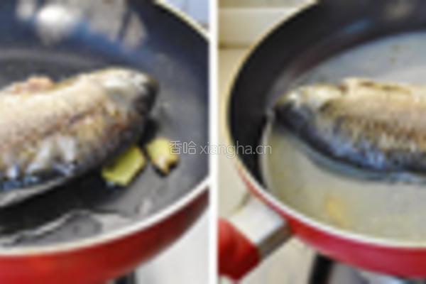 鲫鱼生地土茯苓汤的做法图解1