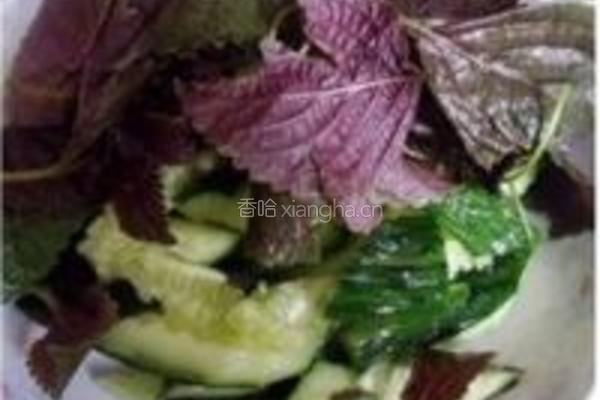 紫苏拌黄瓜的做法图解2