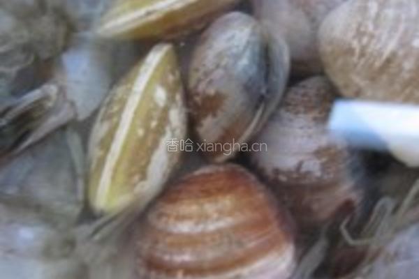 鲟鱼八珍锅的做法图解13