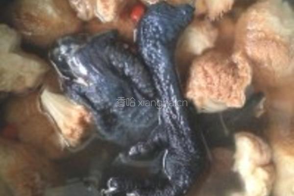 猴头菇乌鸡汤的做法图解3