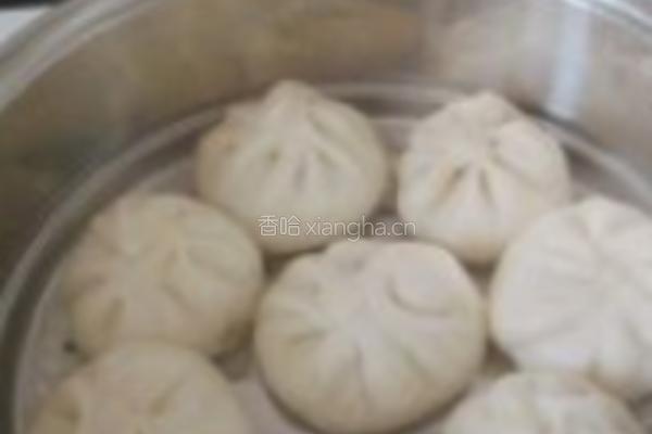 荠菜猪肉包的做法图解6