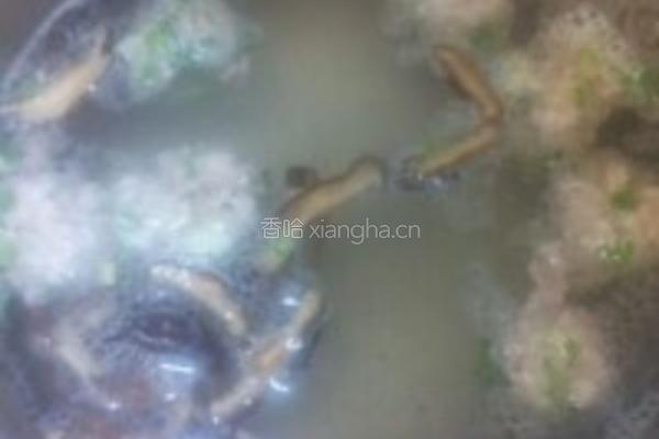 枸杞菜鲜肉丸汤的做法图解3