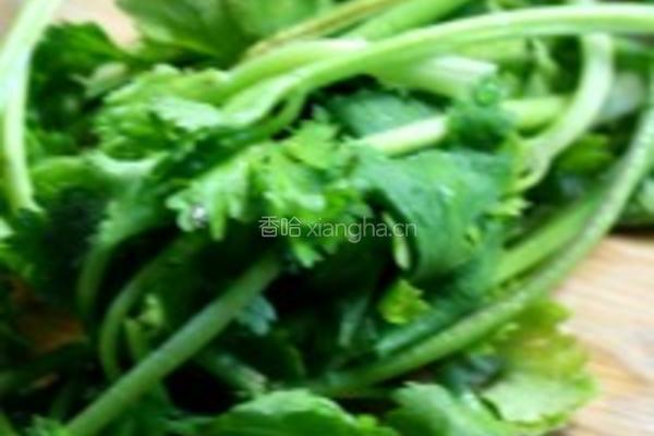 西红柿面疙瘩汤的做法图解4