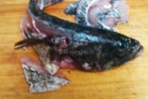 水煮活青石斑鱼的做法图解3