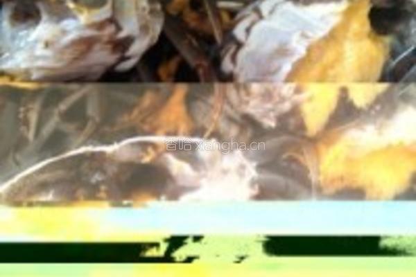 罗卜丝豆腐河蟹锅的做法图解1