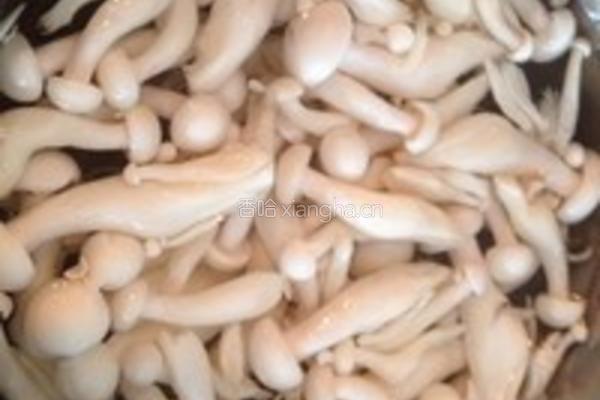 鸡肉炒腿菇的做法图解1